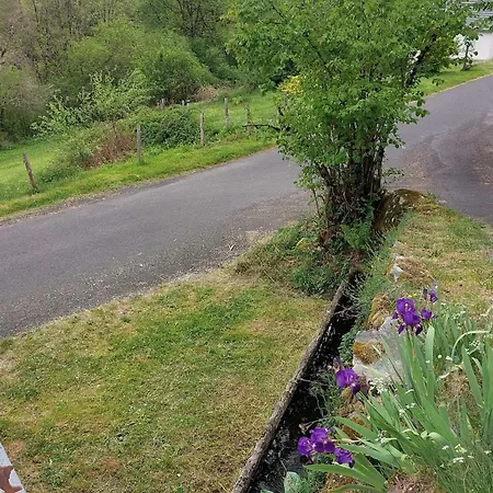 Maison Entre Sancy Et Cantal, Proches Des Lacs *